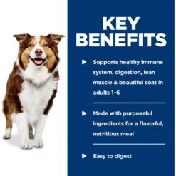 Hill's Science Diet Adult Healthy Cuisine Roasted Chicken, Carrots & Spinach Stew Canned Dog Food -Cozy Paws 94002 PT5. AC SS1800 V1598142363