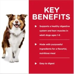 Hill's Science Diet Adult Healthy Cuisine Braised Beef, Carrots & Peas Stew Canned Dog Food -Cozy Paws 94006 PT3. AC SS1800 V1598148653