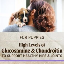 Merrick Classic Healthy Grains Dry Dog Food Puppy Recipe -Cozy Paws 94124 PT8. AC SS1800 V1626191791