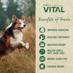 Freshpet Dognation Chicken Recipe Fresh Dog Treats & Freshpet Vital Chicken Recipe Grain-Free Small Breed Fresh Dog Food -Cozy Paws 941486 PT8. AC SS1800 V1692711976
