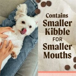 Merrick Lil' Plates Grain-Free Chicken-Free Real Salmon + Sweet Potato Recipe Small Breed Dry Dog Food -Cozy Paws 94165 PT3. AC SS1800 V1671551625