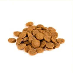 Wishbone Ocean Grain-Free Dry Dog Food -Cozy Paws 94789 PT2. AC SS1800 V1582833782