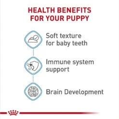 Royal Canin Size Health Nutrition Large Puppy Thin Slices In Gravy Wet Dog Food, 13-oz Can, Case Of 6 -Cozy Paws 950334 PT3. AC SS1800 V1693497922