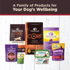 Wellness CORE Grain-Free Hearty Cuts In Gravy Beef & Venison Recipe Canned Dog Food -Cozy Paws 95665 PT4. AC SS1800 V1613573609