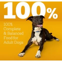 Pedigree High Protein Beef & Lamb Flavor Dog Kibble Adult Dry Dog Food -Cozy Paws 958998 PT8. AC SS1800 V1695064033