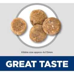 Hill's Science Diet Adult Sensitive Stomach & Skin Small & Mini Breed Chicken Recipe Dry Dog Food -Cozy Paws 96153 PT3. AC SS1800 V1693497929