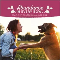 Natural Balance Fat Dogs Chicken & Salmon Formula Low Calorie Dry Dog Food -Cozy Paws 963702 PT5. AC SS1800 V1695055625
