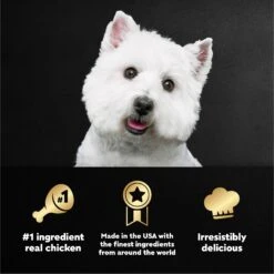 Cesar Home Delights Hearty Chicken & Noodle Dinner In Sauce Wet Dog Food, 3.5-oz Tray -Cozy Paws 968270 PT6. AC SS1800 V1695844318