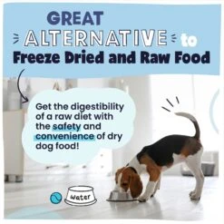 Pawstruck Fish Recipe Grain-Free Air Dried Dog Food -Cozy Paws 971974 PT5. AC SS1800 V1696359636