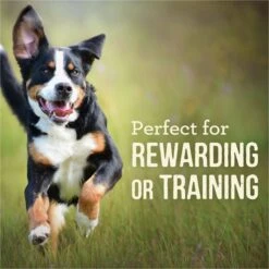 Merrick Power Bites Real Rabbit + Sweet Potato Recipe Grain-Free Soft & Chewy Dog Treats -Cozy Paws 98675 PT4. AC SS1800 V1644905186