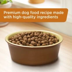 Rachael Ray Nutrish Real Turkey, Brown Rice & Venison Recipe Health Weight Dry Dog Food -Cozy Paws 98683 PT3. AC SS1800 V1657661188