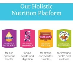 Solid Gold Mighty Mini Chicken & Salmon Recipe In Gravy Grain-Free Small & Medium Breed Dog Food Cups -Cozy Paws 98695 PT4. AC SS1800 V1543522431