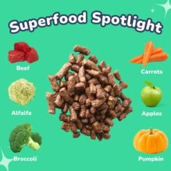 Healthybud Beef Meal Bites Freeze-Dried Dog Food, 14-oz Bag -Cozy Paws 992558 PT2. AC SS1800 V1702938490