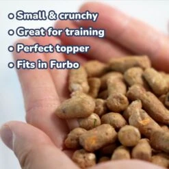 Healthybud Beef Meal Bites Freeze-Dried Dog Food, 14-oz Bag -Cozy Paws 992558 PT4. AC SS1800 V1702938490