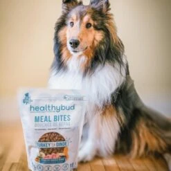 Healthybud Turkey Meal Bites Freeze-Dried Dog Food, 14-oz Bag -Cozy Paws 992662 PT6. AC SS1800 V1702938386