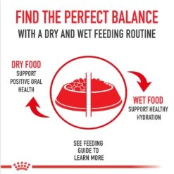 Royal Canin Puppy Canned Dog Food -Cozy Paws 99646 PT5. AC SS1800 V1696614226