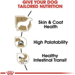 Royal Canin Breed Health Nutrition Chihuahua Adult Loaf In Sauce Dog Food -Cozy Paws 99656 PT2. AC SS1800 V1592559955