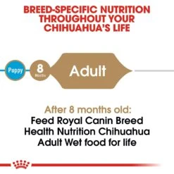 Royal Canin Breed Health Nutrition Chihuahua Adult Loaf In Sauce Dog Food -Cozy Paws 99656 PT3. AC SS1800 V1592565952