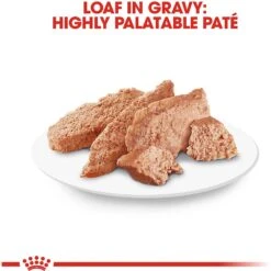 Royal Canin Breed Health Nutrition Chihuahua Adult Loaf In Sauce Dog Food -Cozy Paws 99656 PT5. AC SS1800 V1592850093