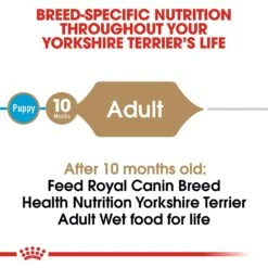 Royal Canin Breed Health Nutrition Yorkshire Terrier Adult Loaf In Sauce Dog Food -Cozy Paws 99663 PT3. AC SS1800 V1592566853