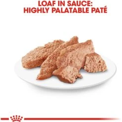 Royal Canin Breed Health Nutrition Yorkshire Terrier Adult Loaf In Sauce Dog Food -Cozy Paws 99663 PT5. AC SS1800 V1592850979